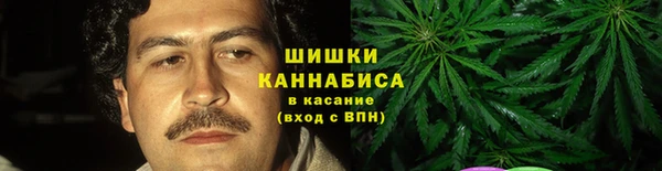 PSILOCYBIN Баксан
