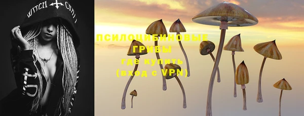 шишки Балабаново