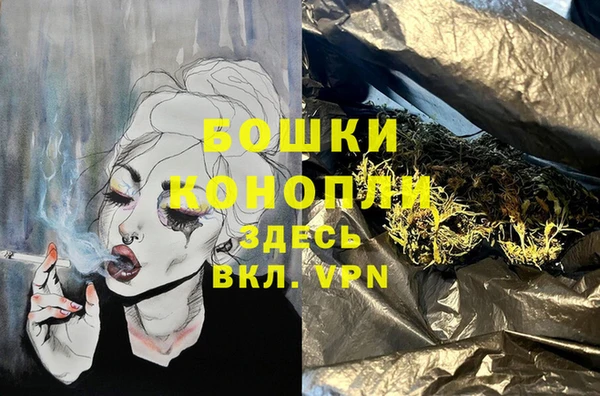 ECSTASY Покачи