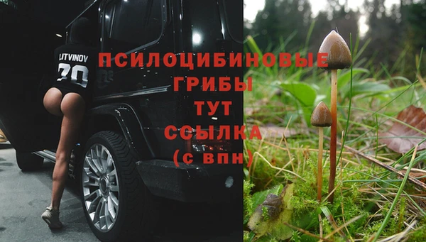 MESCALINE Балахна