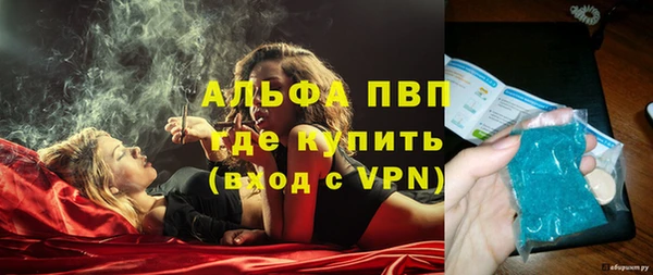 PSILOCYBIN Баксан