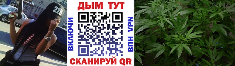 мориарти телеграм  Белая Холуница  Каннабис индика 